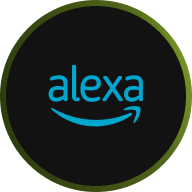 A black circular logo with a thin green border features the word alexa in lowercase blue letters, with a curved arrow resembling a smile underneath.