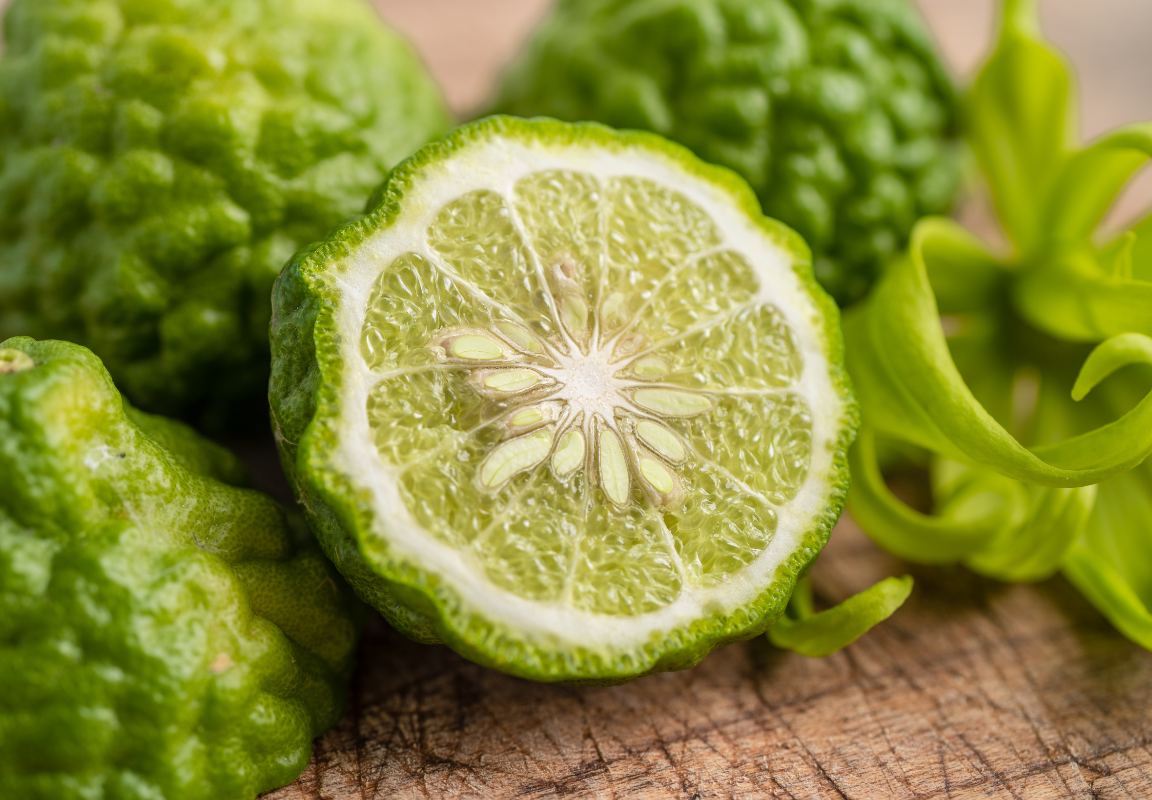 A 15ml Cury Floral Reverie fragrance refill bottle with a white label and dropper, shown next to its black and red retail box featuring a floral design.