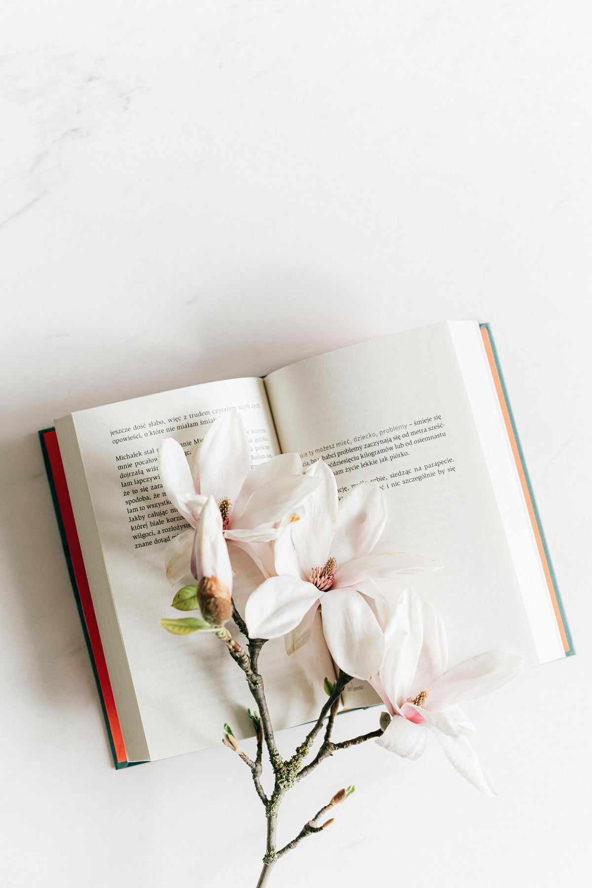 An open book lies on a white surface with a branch of pale pink magnolia flowers resting across its pages. The scene is bright and minimalistic.