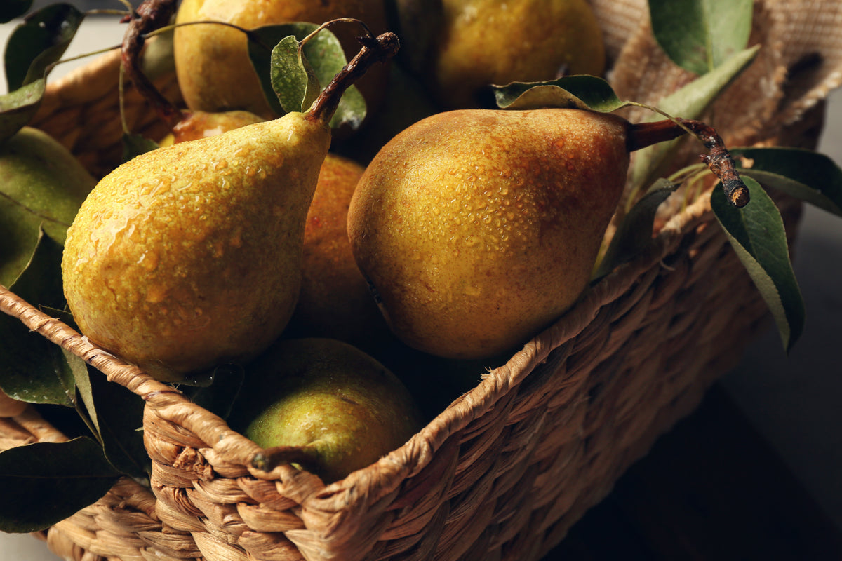 A close-up of ripe pears with green leaves in a woven basket, with some pears showing yellow and slightly brownish skins.